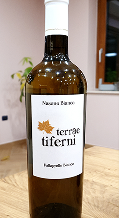 Terrae Tiferni – Pallagrello Bianco IGP