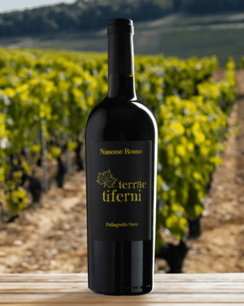 Terrae Tiferni – Pallagrello Nero